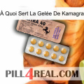 À Quoi Sert La Gelée De Kamagra 41